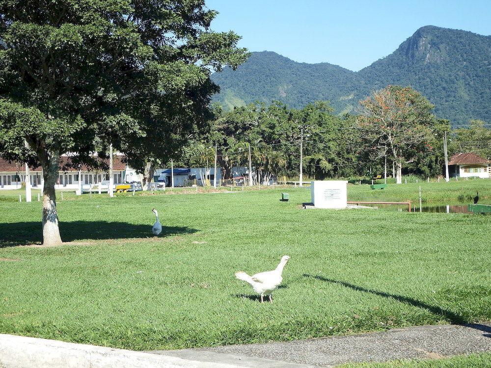 Hotel Fazenda 3 Poderes Caraguatatuba Luaran gambar